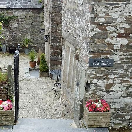 Reddivallen Farmhouse Boscastle Kültér fotó